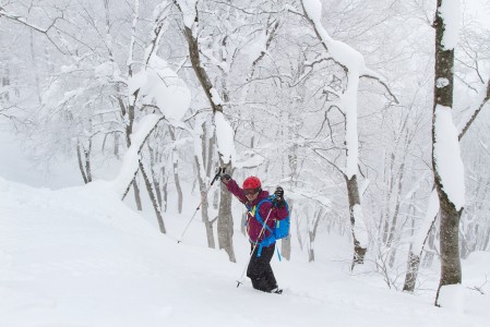 Hakuba Norikuran lumisessa metsässä on vaikea keksiä valittamisen aiheita tai murehtia ylihuomista.