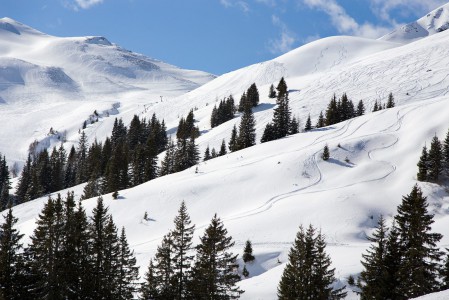 Pieni Seekarin hiihtoalue aivan Saalbachin rinnekartan ylänurkassa oli oppaan mielestä koko laakson parhaimmistoa.