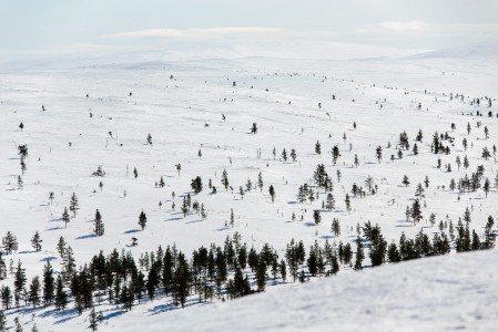 Urho Kekkosen kansallispuiston komeat maisemat avautuvat heti Saariselän takaa. Helpoimmin paikat tavoittaa hiihtämällä. Revontulet loistavat näissä maisemissa jopa 200 vuorokautena talvikaudessa.
