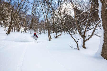 Kurodaken kabiinihissin alapuolelle jäävät metsäpätkät ovat Hokkaidon haastavimmasta päästä. Muita laskijoita näissä maastoissa on vain kourallinen.