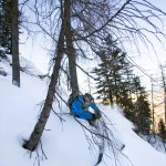 Krippenstein forest skier