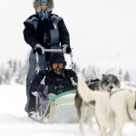 Lillehammer koiravaljakko hiihtokeskus laskettelukeskus
