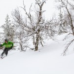 Olos Lapland ski powder