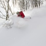 Hakuba Cortina powder skiing