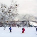 hakuba tsugaike ski center