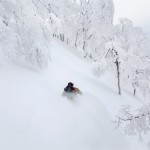 nozawa onsen off piste snowboarding