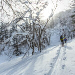 kamui ski links skinning