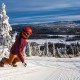 iso syöte world ski awards 2017 winner Finland